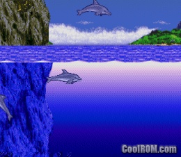 Ecco the cheap dolphin gamecube